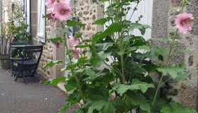 Les Gravelots - Foto 4