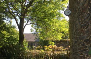 The Barn Owls - Foto 14