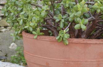 Casa Vista - Photo 12