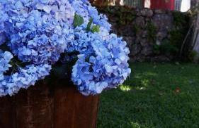 Eido do Luou - Casa de férias com piscina - Foto 16