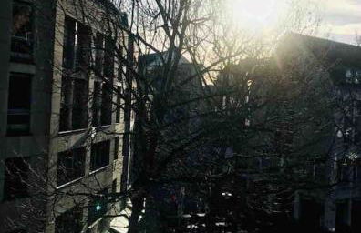 charmantes 1Zi Apartment im Herzen von Braunschweig mit Balkon - Foto 2