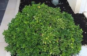 Apartment Lara - Photo 24