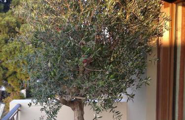 Villa Markos - Foto 35