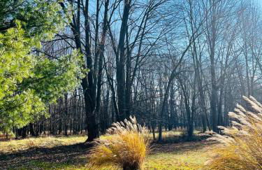 Winifreds Hideaway - Photo 12