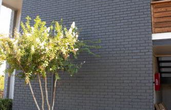 Walk to AT&T Stadium , Globelife from Cozy 2bd/ba Apartment - Photo 27