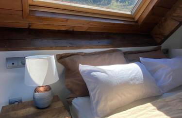 DUPLEX con encanto en Bagergue y guarda esquíes - Foto 8