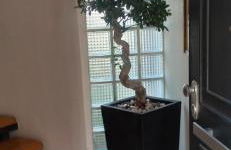 La Terrazza Quisisana Sorrento Coast - Foto 55