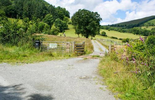 Barcud Coch - Uk44539 - Foto 32