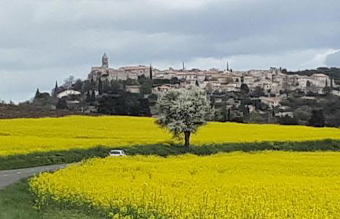 LA GARDE ADHEMAR, L'escalier Médiéval - Foto 66