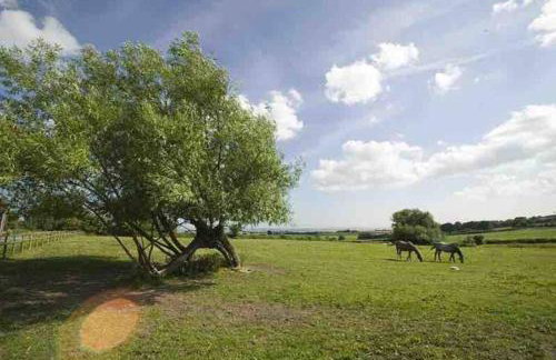 Edge Barn - Photo 12