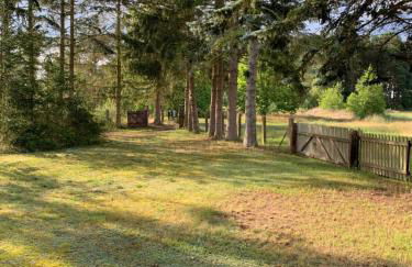 Ferienhaus am Seegrund - Foto 13