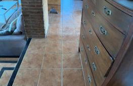 La chumbera - Foto 31