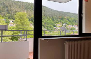 Die Ente an der Enz, mit Schwimmbad und Sauna - Foto 19