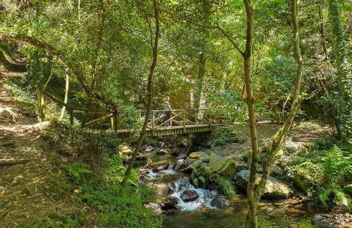 Vila da Fonte - Peaceful 3-bedroom Villa with Private Pool, Central Portugal - Foto 34