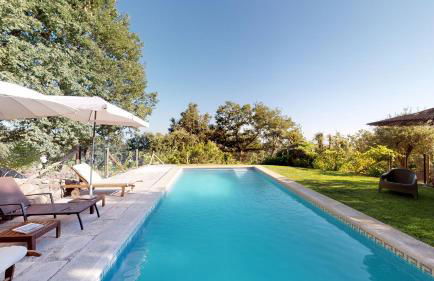 Abejas 1 de El Vergel de Chilla - Foto 23