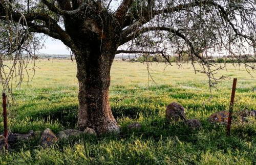 Casa Rural el Pajar de Tenzuela - Foto 40