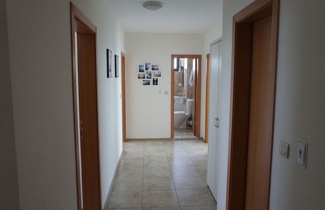 Calithea Complex - Photo 14