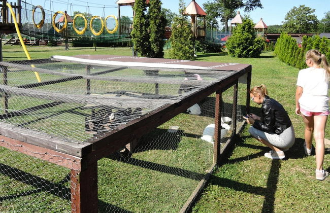 Bungalows in Wrzosowo - The Bird's Cage for 4 Persons - Photo 14