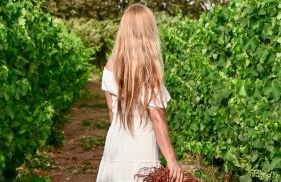 Is Cheas wine farm boutique hotel - Foto 27