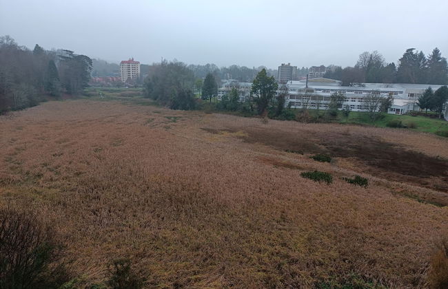 Departamento céntrico Isla teja 19 - Foto 62