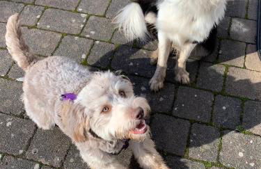 The Towerview Coach Houses - Photo 45