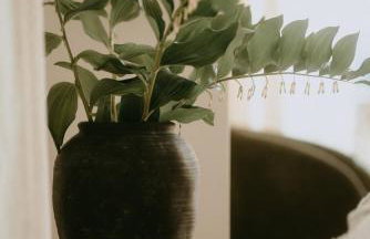 Cozy Izeria - Foto 25