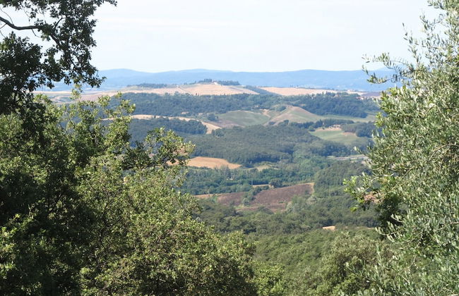 Podere Campovecchio - Foto 58