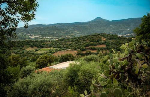 Villa S'Olioni - Foto 24