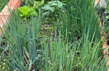 Chácara Casa Amarela - estrutura completa de lazer - ambientes elegantes e exclusivos - campo de futebol e bocha - piscina - lareiras - 10 min Rota do Vinho - Foto 37