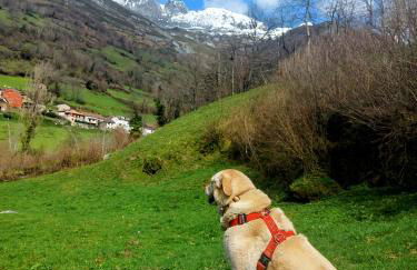 Casa Nayala - Foto 51