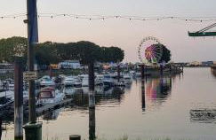 Willkommen bei Mirya - Foto 22