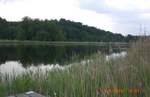 Ferienhaus am Geiersberg - Foto 42