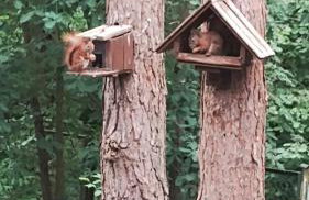 Apartament Nad Jeziorem Brenno - Foto 14