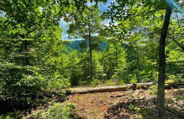 Tiny House, WIFI,Hot tub,Secluded - Foto 13