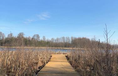 Niebieski Domek nad jeziorem Mazurskie klimaty - Foto 37