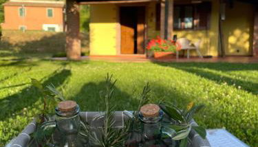 Lo Stucchio - Foto 2, Garden, Garden view