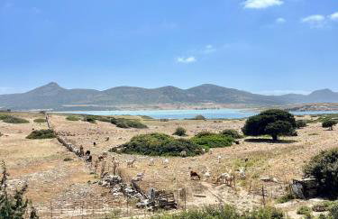 Vintage lover's getaway - Photo 55