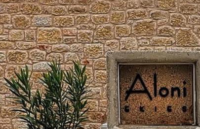 Aloni Ekies - Foto 3