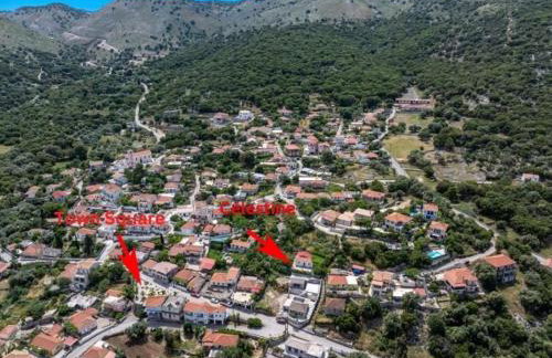 Célestine - Foto 40