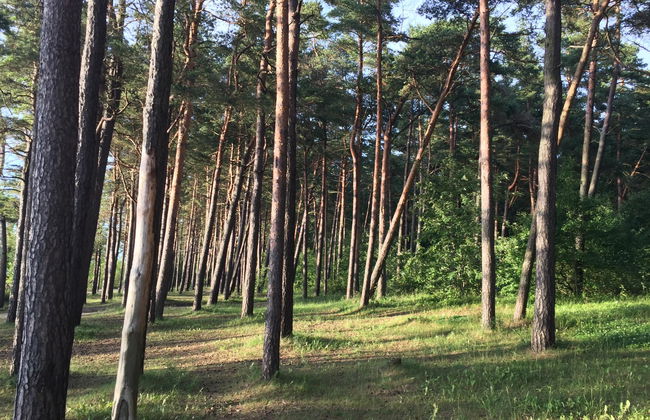 Pirita Beach Apartments & Spa - Foto 6