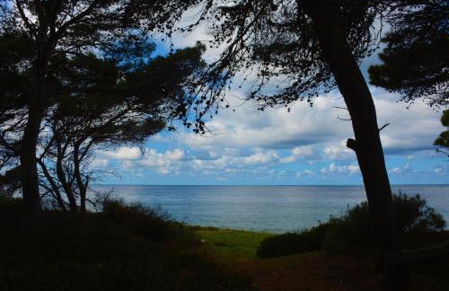 Casale Dionisia, Santa Maria di Castellabate - Foto 79