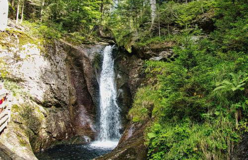 Fewo Kleine Auszeit - Foto 53