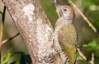 Haus Schönblick - Foto 31