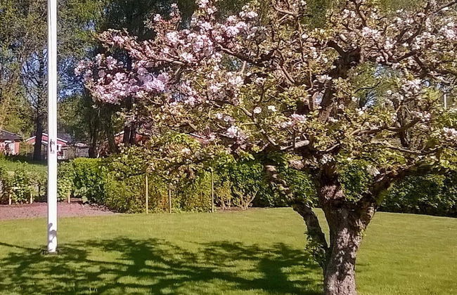 Holiday Home in Lerum - Photo 29