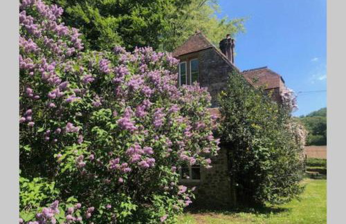 Beautiful converted Stable in peaceful Somerset, close to the Jurassic Coast - Foto 1