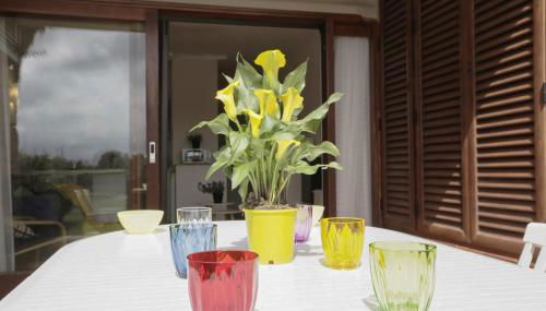 La Casa di Giuliano Salina Bamba San Teodoro - Foto 2