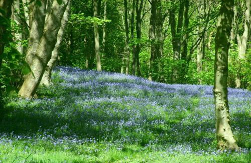 1 Bed in Northrepps oc-1736 - Foto 13