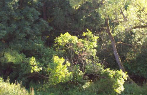 Apartamenty Dzika Orlica - Foto 60