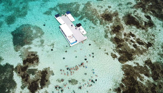 Discover the turoquoise waters of Stingray City