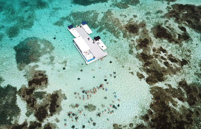 Snorkel in Stingray City Antigua - Photo 5